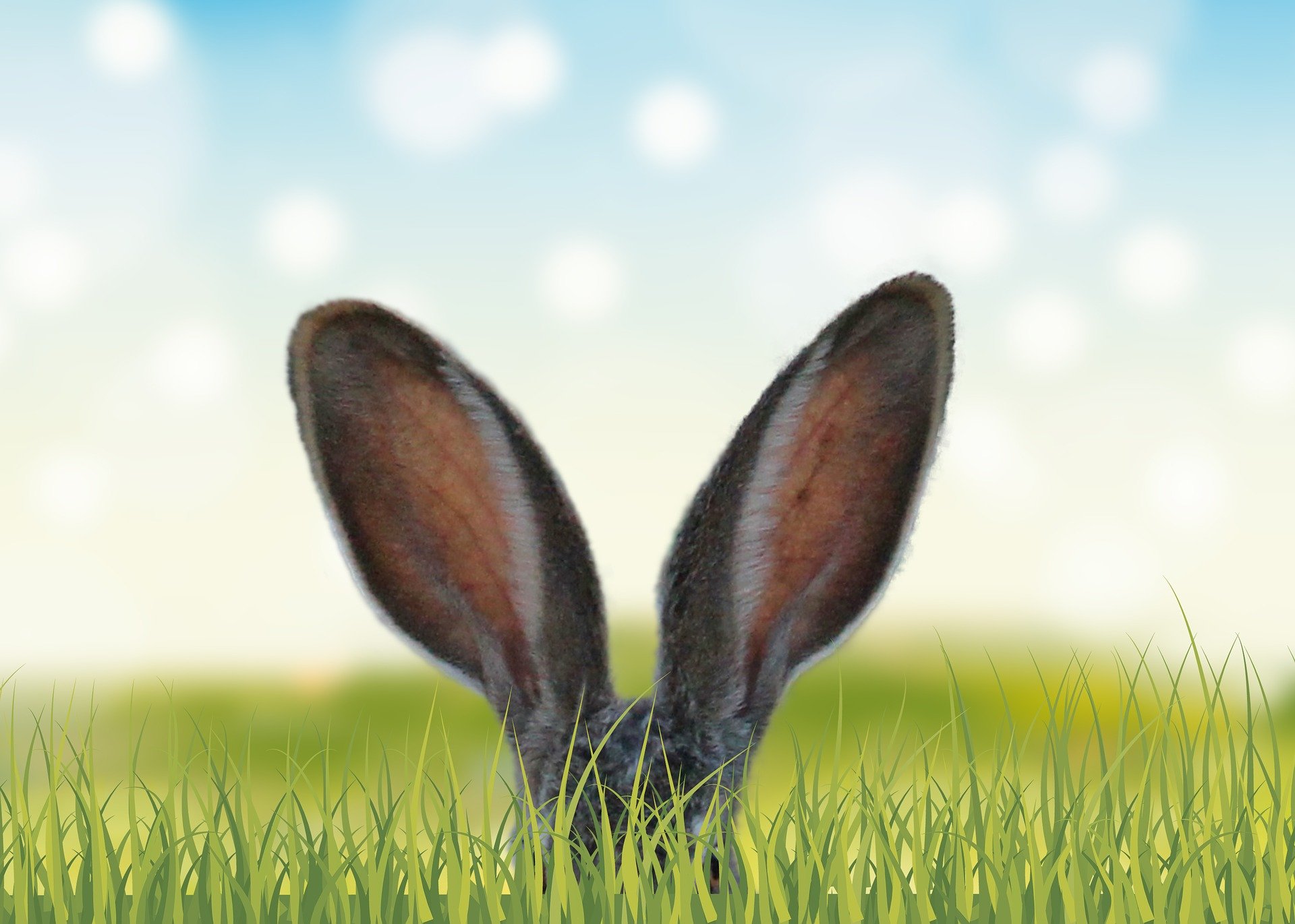 frohe Ostern .jpg