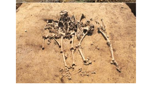 Ferienjob - in der Archäologie